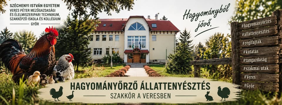 VP_Hagyomanyorzo_1.jpg VP_Hagyomanyorzo_1.jpg